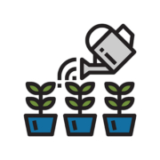 Water plants
